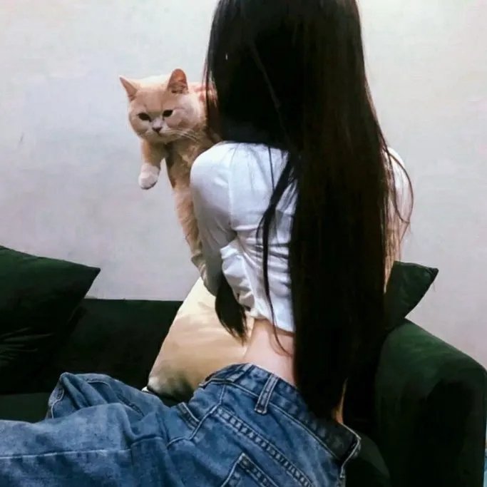 摇摆吉普赛